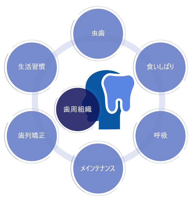 日本人が歯を失う原因の1位はる歯周病